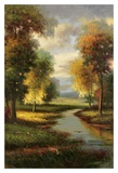 Resplendent I Affiches par Roselli 