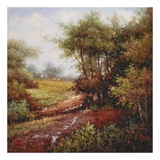 The Trail Home Prints by Rhes 