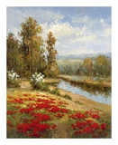 Poppy Vista I Prints by Hulsey 