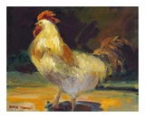 Rooster IV Prints by Allayn Stevens