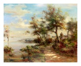 Afternoon Walk Prints
