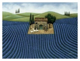 Lavender Field Prints by Lowell Herrero