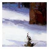 Majestic Winter (detail no. 4) Prints by Kent Wallis