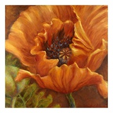 Orange Poppy Posters by Nicole Etienne