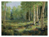 Aspen Meadow Posters by Roger Williams