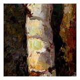 Beautiful Winter (detail no. 4) Pôsters por Kent Wallis