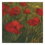 Poppies of Toscano II, no. 13 Pôsters por Art Fronckowiak Poppies of Toscano II, no. 13 Pôsters por Art Fronckowiak