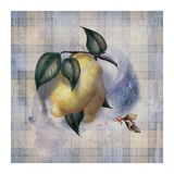 Tartan Fruit, Lemon Prints by Alma Lee