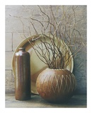 Pena Blanca Posters by Fred Wood