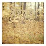 All is Love Kunstdruck von Irene Suchocki