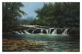 Gently Over the Rocks Plakater av Bruce Braithwaite
