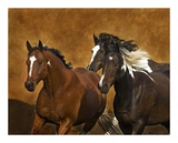 Ready To Run Prints by Robert Dawson