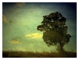 Daybreak Posters by Linda Plaisted