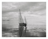 Soft Breeze Posters by Ray Krantz
