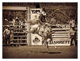 8 Seconds Prints by Barry Hart
