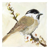 Bird VI Art by Suzanne Etienne