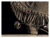 The Spur Prints by Robert Dawson