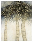 Bamboo Canopy One Pósters por David Dauncey