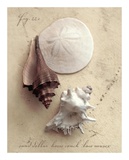 Heather Johnston - Seaside Collection II - Tablo Heather Johnston - Seaside Collection II - Tablo
