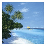 Paradis tropical II Affiche par Steve Thoms