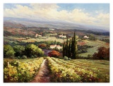 Italian Vineyards Prints by Andino 