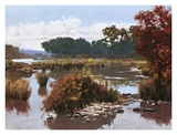 Tagesanbruch im Herbst Poster von Kyo B. Kim