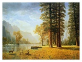 Hetch Hetchy Valley, California Posters by Albert Bierstadt