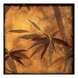 Natural Bamboo II (detail no. 9) Prints