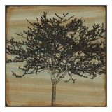 Perfect Harmony, no. 10 Prints by Suzanna Anna