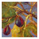 Ripe Figs Print by Nicole Etienne