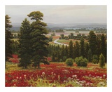 Blooms Above the Valley Posters by Hilger 