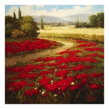 Red Poppy Trail Posters by Hulsey 