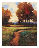 Late Noon Path I Affiches par Kanayo Ede