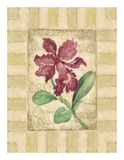 Belle Fleur IV Prints by Betty Whiteaker