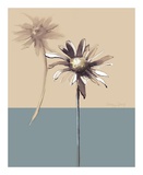 Simplicity II Pósters por Ashley David