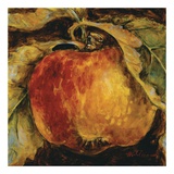 Red Apple Posters by Nicole Etienne