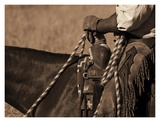 Buckaroo I Art by Robert Dawson