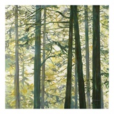 Trees in Fog I Poster by Cheryl Fortier