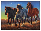 Blue Roan Ridge Prints by Nancy Davidson