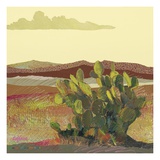 From Time to Time Prints by Patrick Coffaro