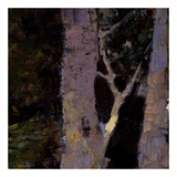 Majestic Winter (detail no. 9) Posters by Kent Wallis