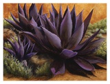 Purple Agaves on the Rocks Print by Beth Zink