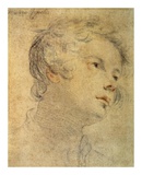 Head of a Youth Plakater af Matteo Rosselli