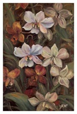 Orchidées I Affiches par Shari White