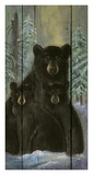 Alpine Bear Lodge Prints by Penny Wagner