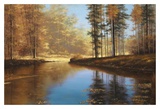 Autumn Creek Print by Diane Romanello