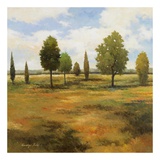 Golden Meadow I Affiches par Kanayo Ede