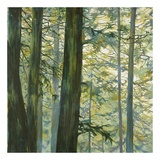 Trees in Fog II Prints by Cheryl Fortier