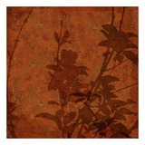 Shadows of Foliage III Plakat av Eloise Ball Shadows of Foliage III Plakat av Eloise Ball