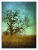 Fine Print Poster by Linda Plaisted